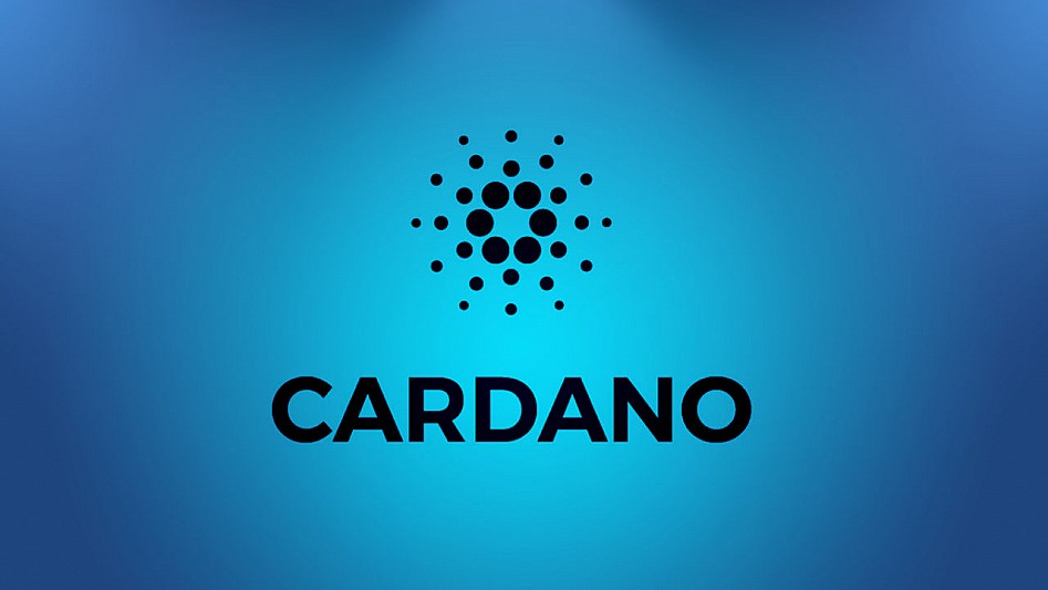 cardano Cryptofalka cardano Cryptofalka