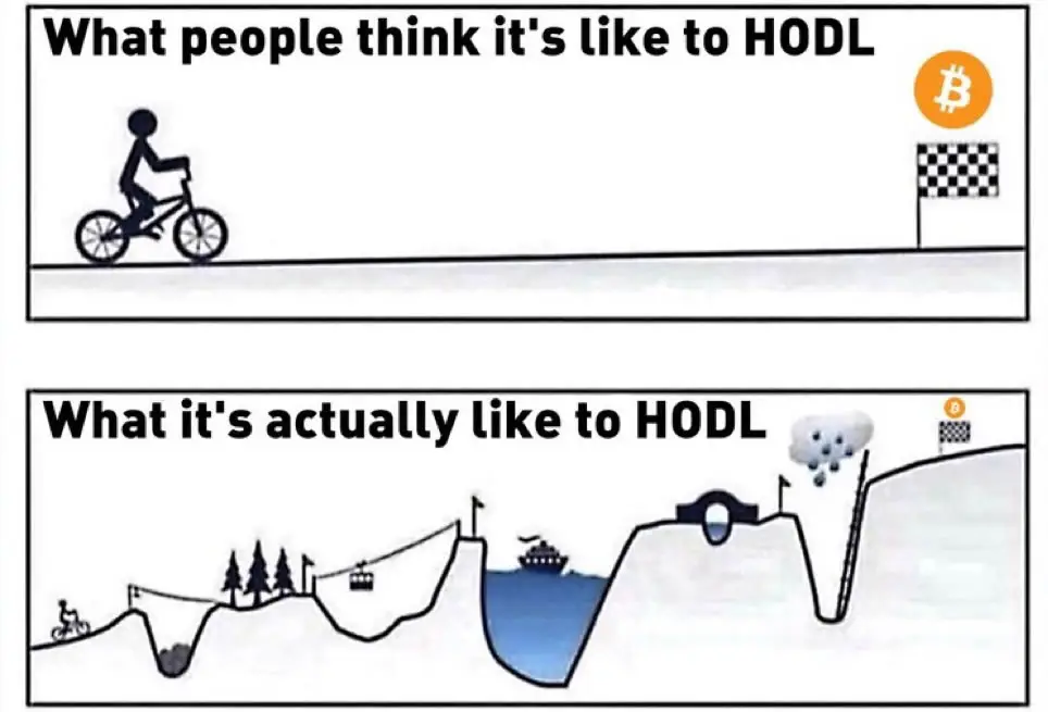 hodl