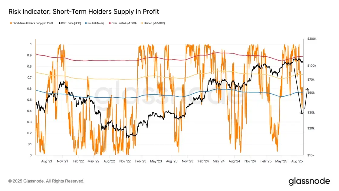 short term holders glassnode