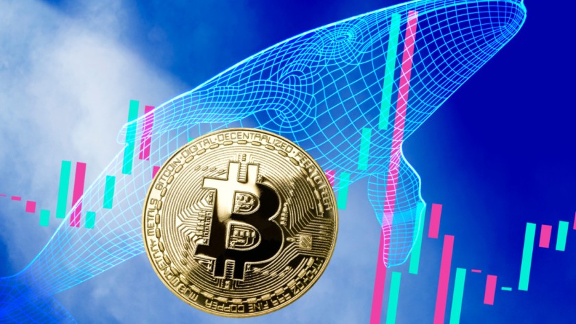 FOMC előtt kaszált egy Bitcoin bálna 9,4M dollár profitot