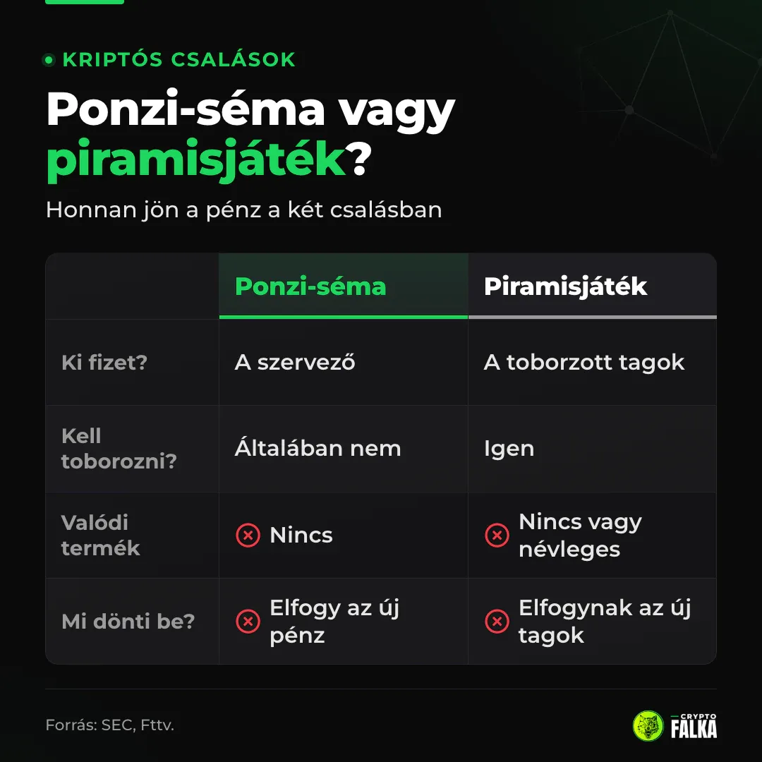 Összehasonlítás: a Ponzi-sémában a szervező fizet, a piramisjátékban a toborzott tagok, valódi termék nincs vagy névleges