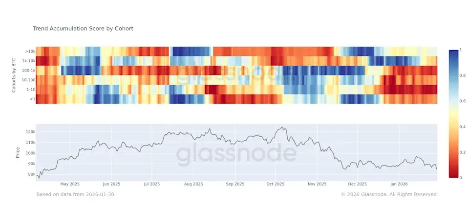 BTC felhalmozás glassnode.webp